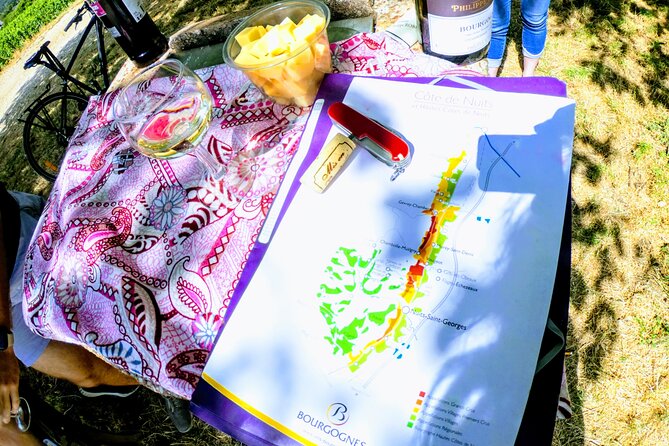 Discovery by bike & Tasting in the vineyards - Why a bicycle is the right way to see Burgundy vineyards
