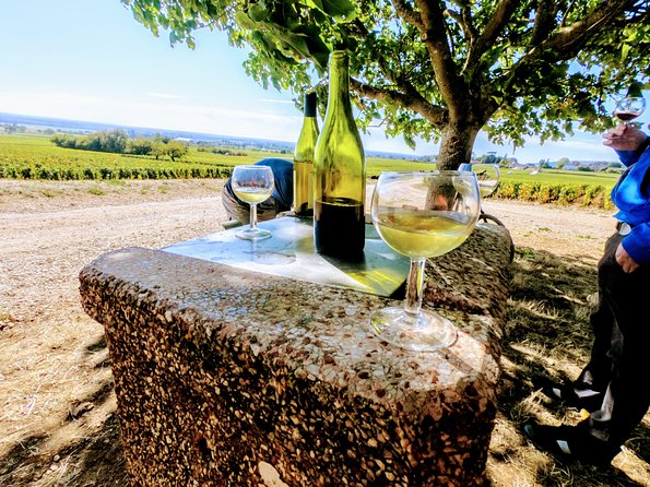 Discovery by bike & Tasting in the vineyards - What is included, and what you should bring