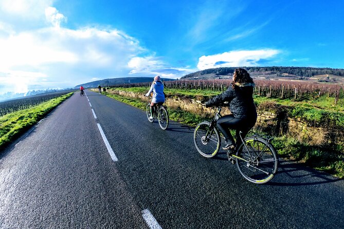 Discovery by bike & Tasting in the vineyards - Marsannay-la-Côte and the first taste of wine country