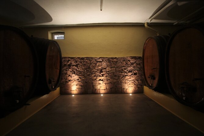 Discovery Vineyard - Inside the cellar at Domaine Specht