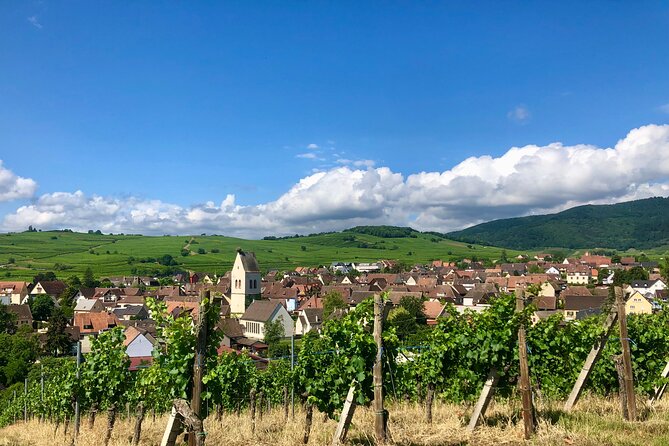 Discovery Vineyard - Who will get the most from this visit?