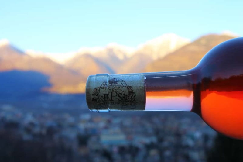 Domodossola: Savor Wines & Local Treats in a Scenic Vineyard - Key points to know before booking