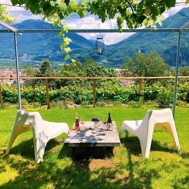 Domodossola: Savor Wines & Local Treats in a Scenic Vineyard - Tasting three wines from the Ossola Valley