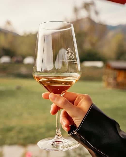 Domodossola: Savor Wines & Local Treats in a Scenic Vineyard - The food makes this more than a wine flight