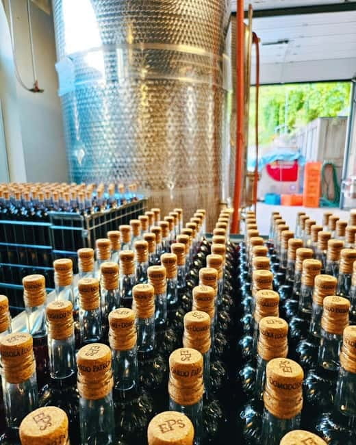 Domodossola: Savor Wines & Local Treats in a Scenic Vineyard - The view over Domodossola