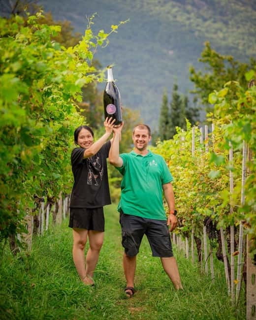 Domodossola: Savor Wines & Local Treats in a Scenic Vineyard - A small group with a personal feel
