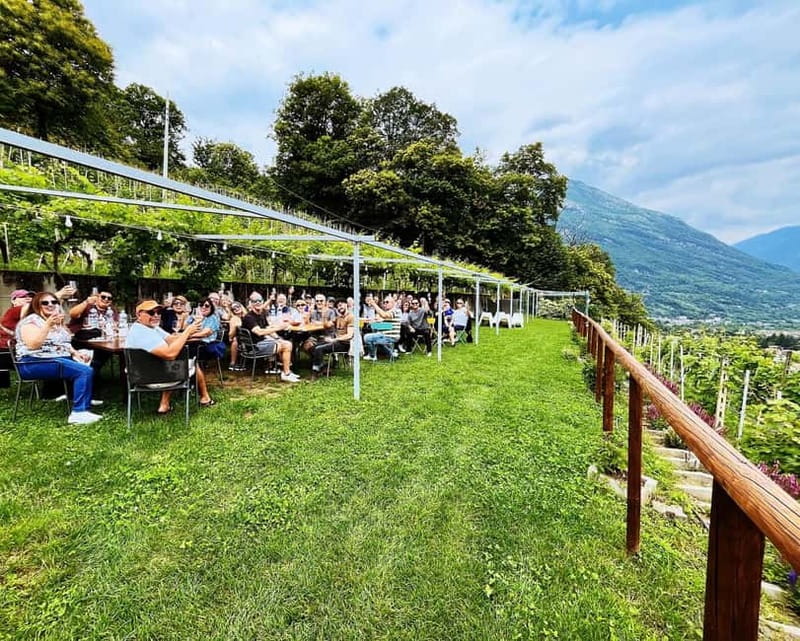 Domodossola: Savor Wines & Local Treats in a Scenic Vineyard - Is $31 a fair price?