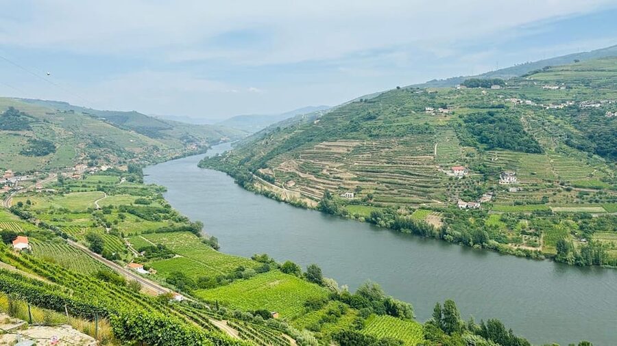 Douro Valley: 4 Cities, Wine&History - Private All-Inclusive - Key points to know before booking