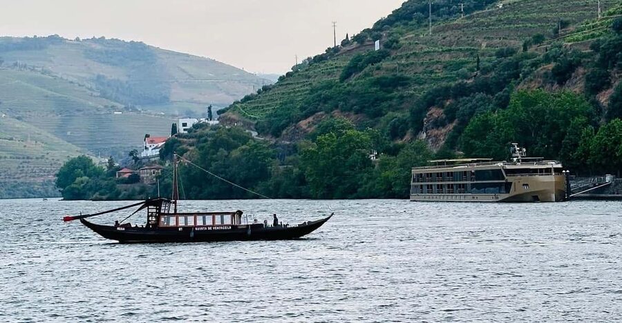 Douro Valley: 4 Cities, Wine&History - Private All-Inclusive - Why this day works for more than wine lovers
