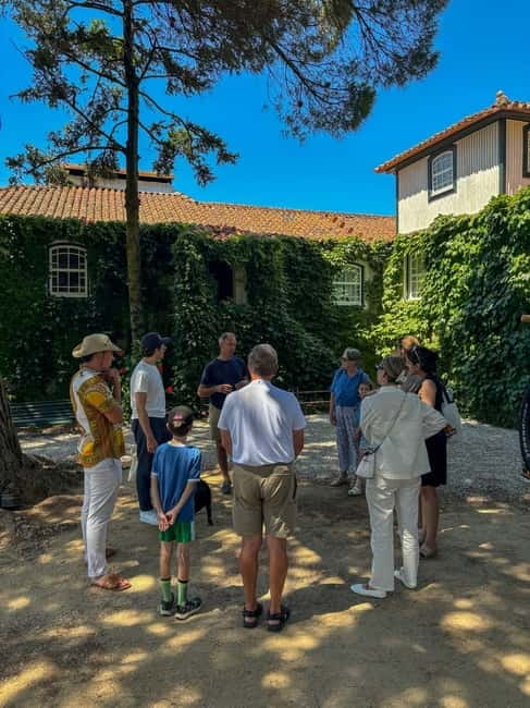 Douro Valley: 4x4 Safari and Vineyard Visit - Who should book this experience