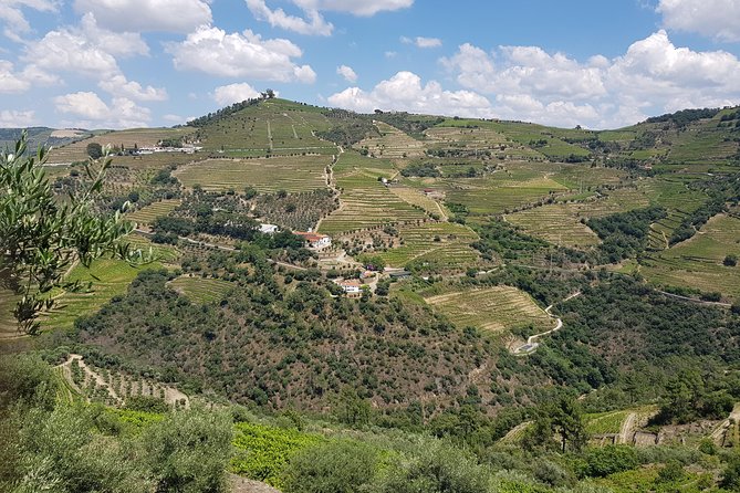 Douro Valley for Wine Lovers with Visit to 4 Wineries and Lunch - Why the Douro Valley is worth a full day from Porto