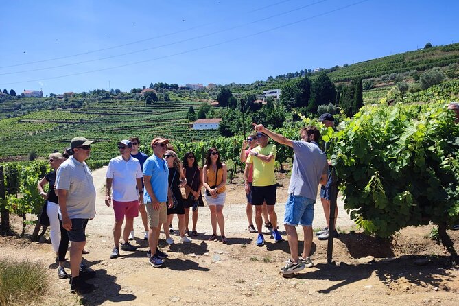 Douro Valley for Wine Lovers with Visit to 4 Wineries and Lunch - Four wineries, with some variation in the schedule