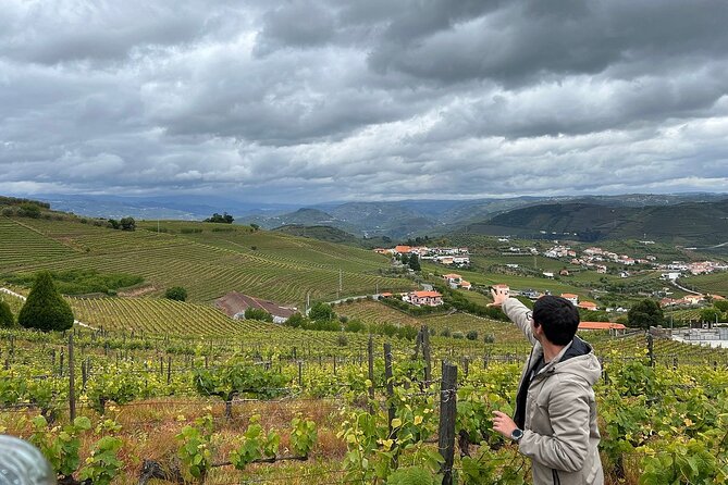 Douro Valley for Wine Lovers with Visit to 4 Wineries and Lunch - Practical advice before you book