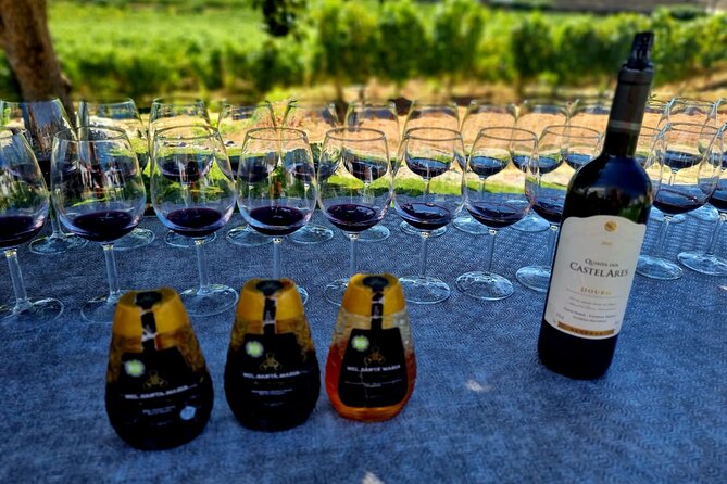 Douro Valley Guided Tour of 3 Vineyards with Lunch - Sao Cristovao do Douro and the wide river view