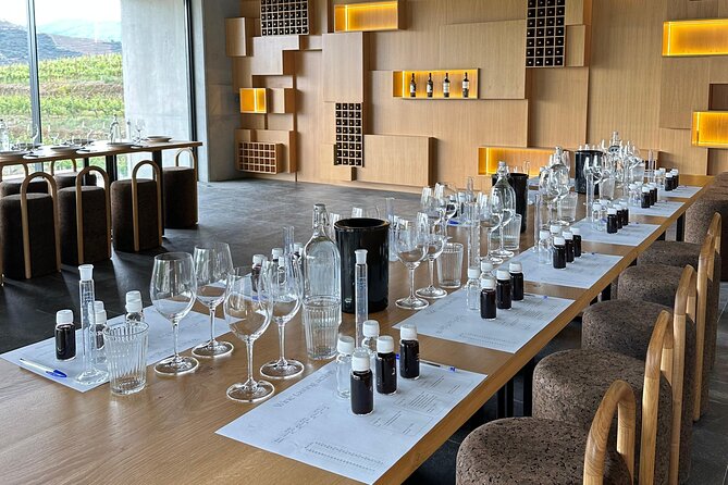 Douro Valley Guided Tour of 3 Vineyards with Lunch - Pinhao: your first taste of Douro wine