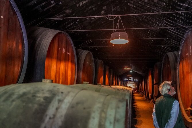 Douro Valley Private Day Trip from Lisbon: Vineyards & River View - Pinhão, Wine Tasting, and a Boat Trip