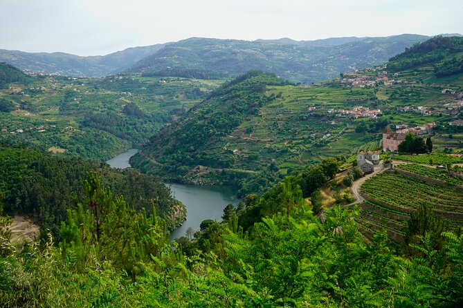 Douro Valley Private Day Trip from Lisbon: Vineyards & River View - Régua, the Working Center of Port Country