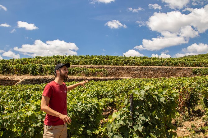 Douro Valley: private tour with lunch and wine estate all inclusive - Why This Nine-Hour Douro Day Works