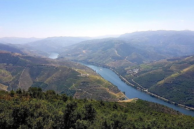 Douro Valley: private tour with lunch and wine estate all inclusive - The N222 and the Road to Pinhão