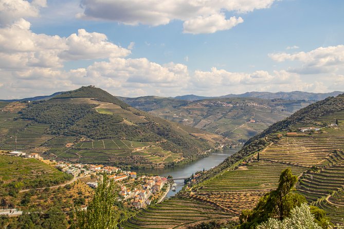 Douro Valley: private tour with lunch and wine estate all inclusive - A 50-Minute Rabelo Boat Ride
