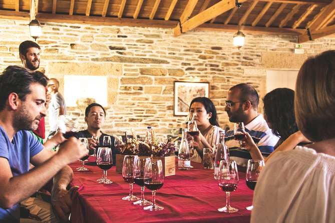 Douro Valley: private tour with lunch and wine estate all inclusive - Walking Through a Douro Wine Estate