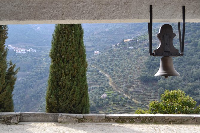 Douro Valley Tour: 2 Vineyard Visits, River Cruise, Winery Lunch - The guide can shape the whole day
