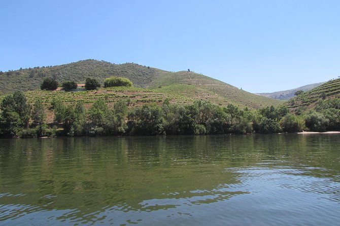 Terraced vines above the Douro river in northern Portugal