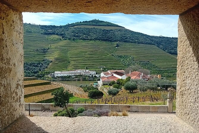 Douro Valley Vineyard Visits Wine Tasting Boat Ride and Lunch - What the guide adds to the day