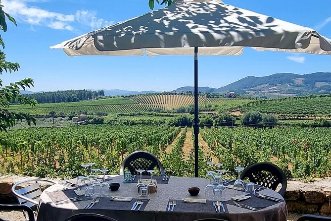 Douro Valley Vineyard Visits Wine Tasting Boat Ride and Lunch - Is $150.51 a fair price?