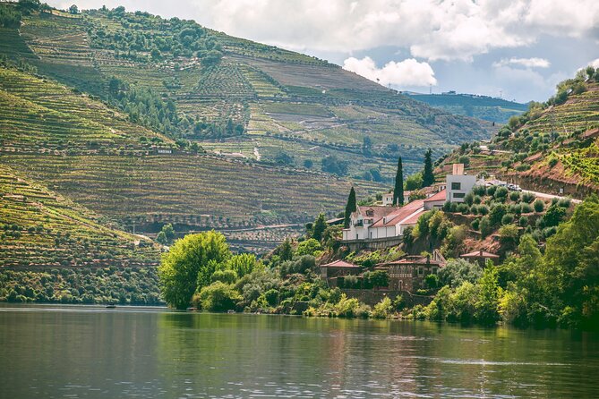 Douro Valley Vineyard Visits Wine Tasting Boat Ride and Lunch - The drive from Trindade into the Douro