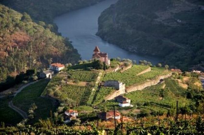 Douro Valley Wine Tour: 3 Vineyard Visits, Wine Tastings, Lunch - Key points before you book