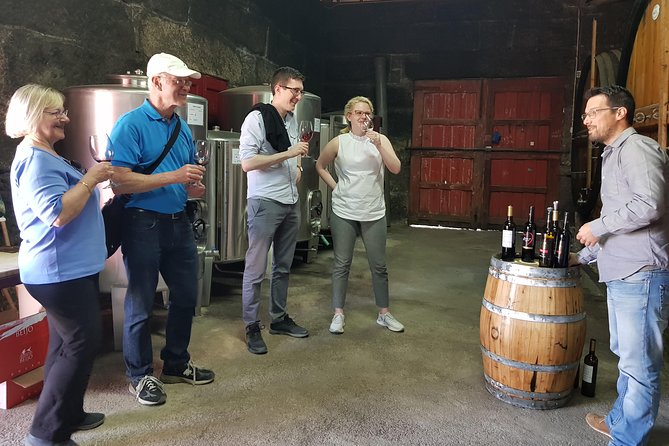 Douro Valley Wine Tour: 3 Vineyard Visits, Wine Tastings, Lunch - The N222 and the Douro views