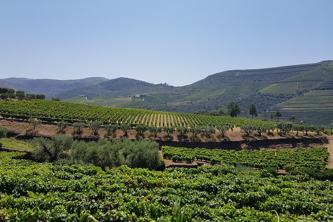 Douro Valley Wine Tour: 3 Vineyard Visits, Wine Tastings, Lunch - Pinhão and the late lunch question