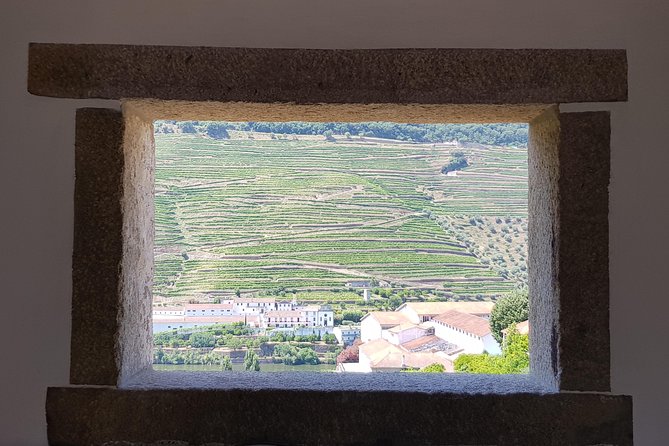 Douro Valley Wine Tour: 3 Vineyard Visits, Wine Tastings, Lunch - Leaving Porto early and heading into wine country