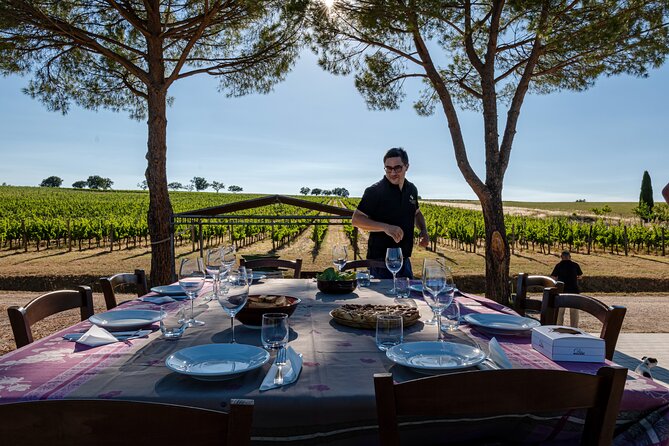 DRINK&FOOD: Private Vineyard and Winery Tour with Tasting - A family story in the Umbrian hills