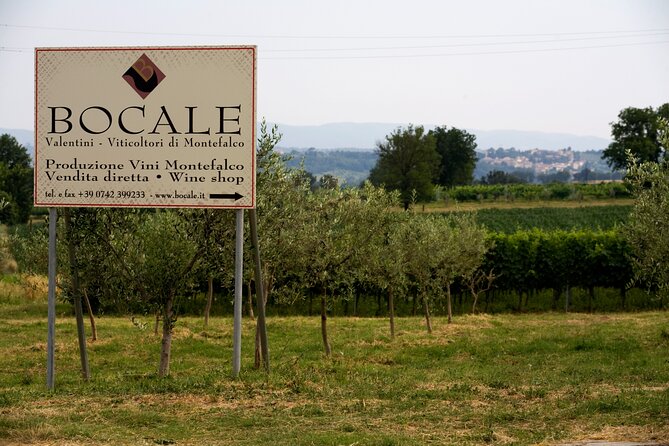 DRINK&FOOD: Private Vineyard and Winery Tour with Tasting - A good stop near Montefalco, but plan the route carefully