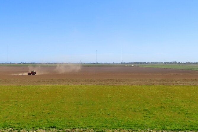 Driving in Delta’s Wine Country: Private Self-Guided Audio Tour - Starting at Delta Shores in Sacramento
