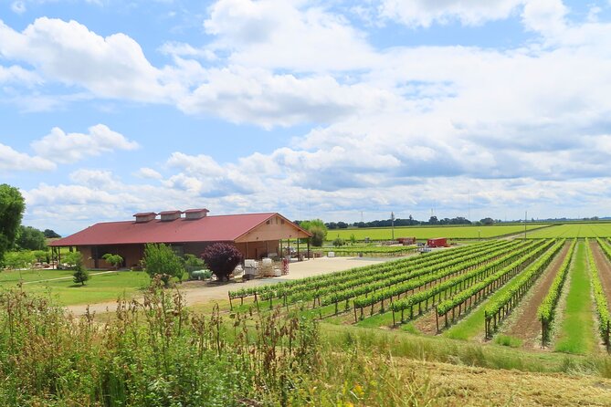 Driving in Delta’s Wine Country: Private Self-Guided Audio Tour - Hood, Courtland, and the stories of disaster