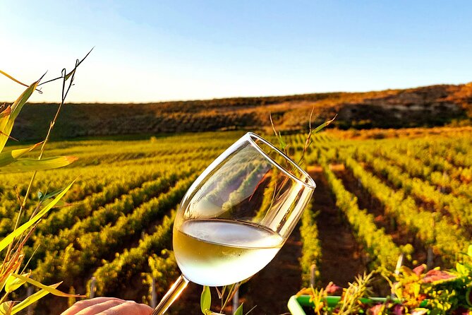 Durrës Countryside Vineyard Experience with Wine & Food Pairing - What the afternoon and evening look like