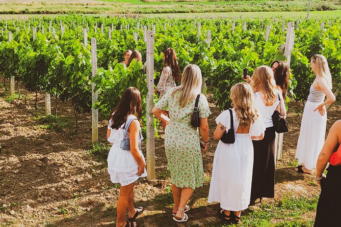 Durrës Countryside Vineyard Experience with Wine & Food Pairing - Sunset views and the relaxed pace