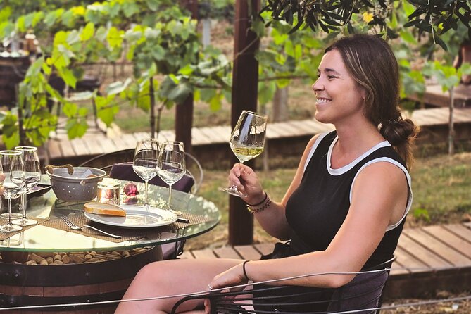 Durrës Countryside Vineyard Experience with Wine & Food Pairing - A winery with views, animals, and old bunkers