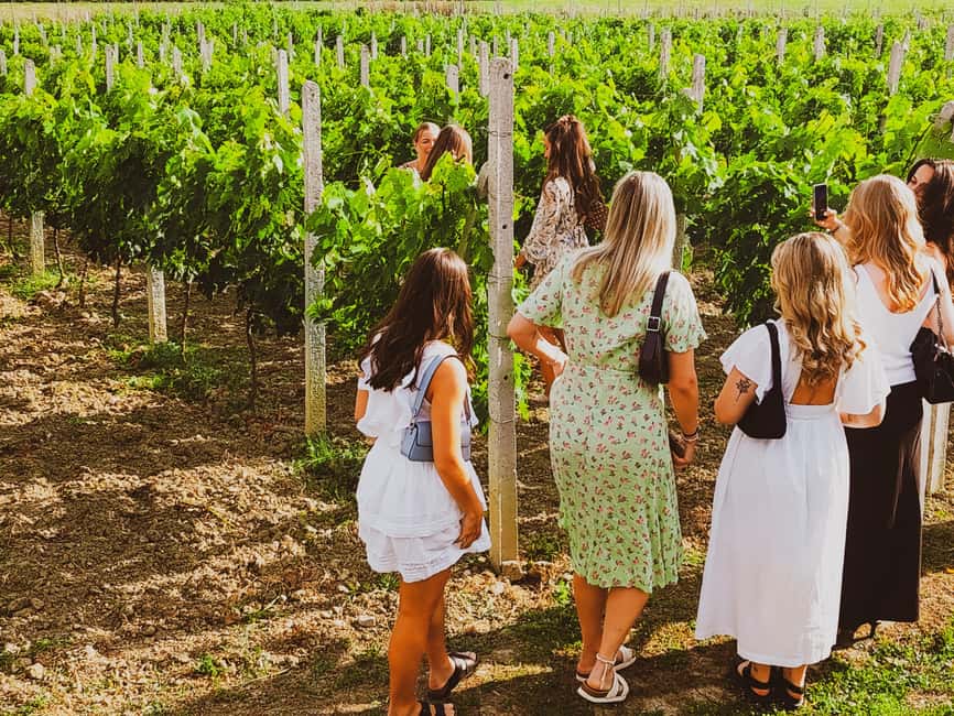 Durres Countryside Vineyards Wine Tasting & Food Pairing - What makes this vineyard visit worth your afternoon