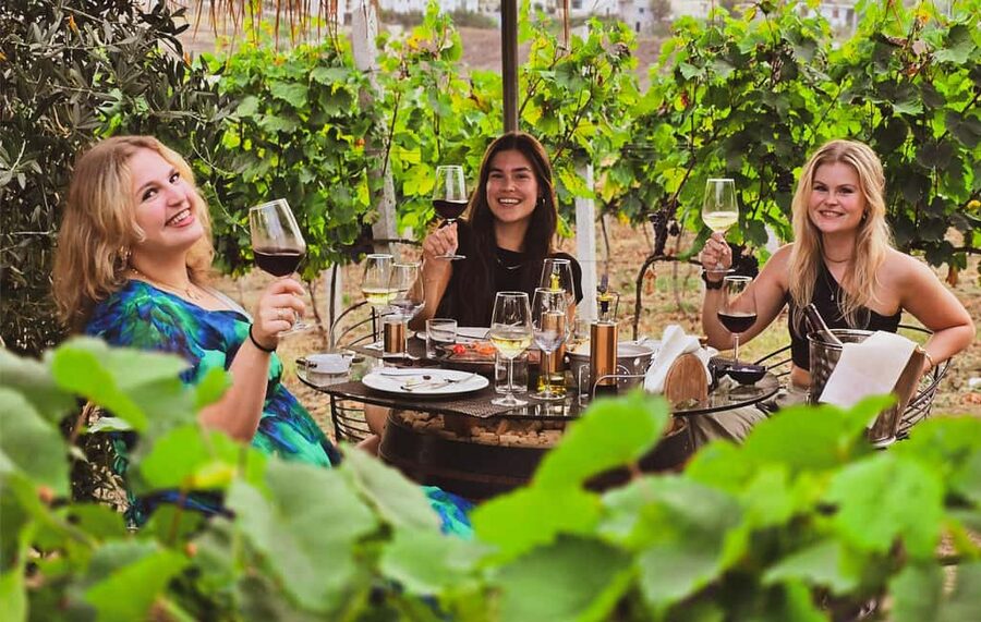 Durres Countryside Vineyards Wine Tasting & Food Pairing - Walking the vines and learning about Albanian grapes