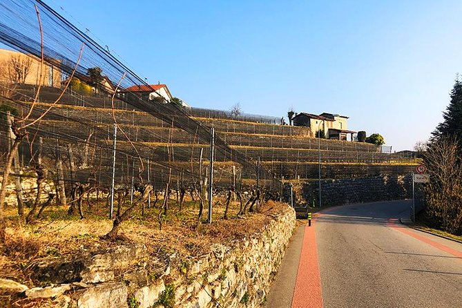 E-Bike Tour Lake Como and Swiss Vineyards - The return along Como’s lakefront