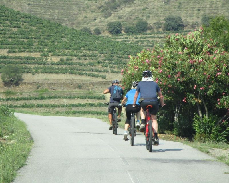 E-MTB - Vineyards Douro Tour - Leaving Naturimont for the Douro hills