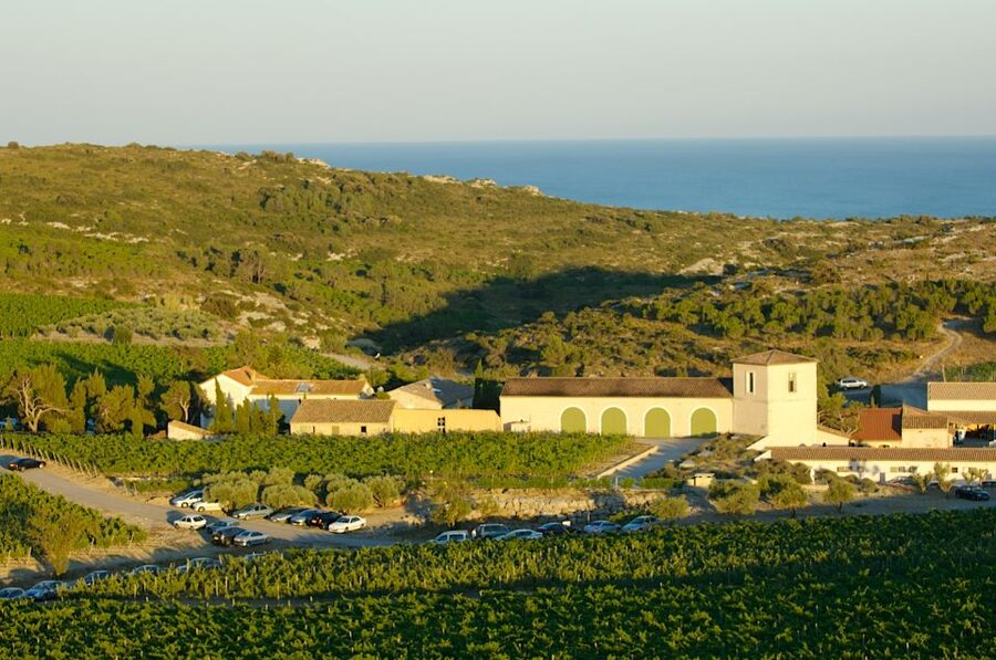 Electric Scooter Tour of our vineyard and Wine Tasting - Why this Château l’Hospitalet tour feels different