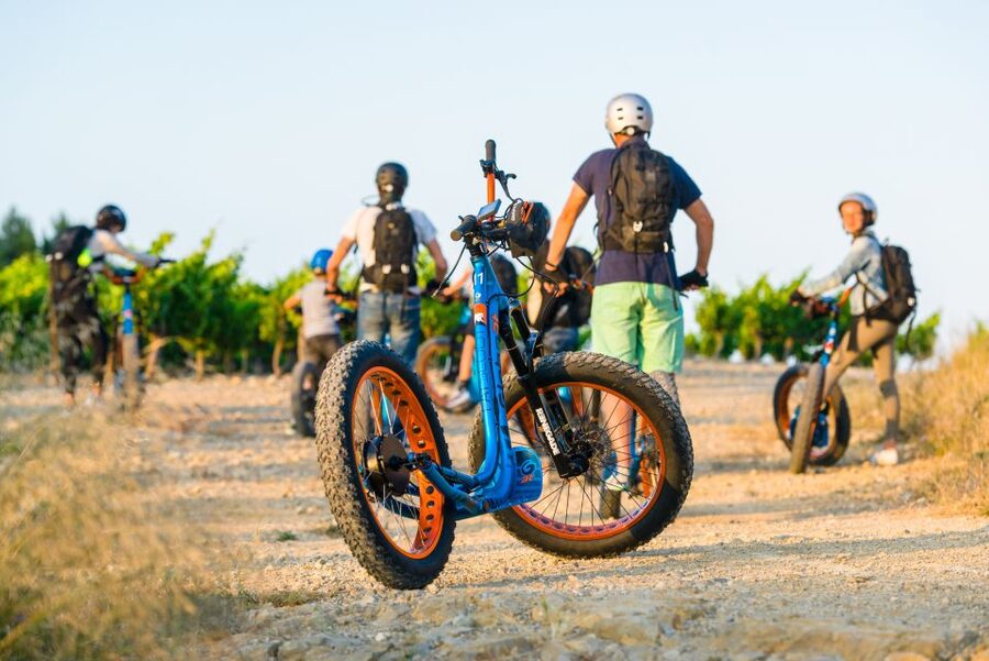 Electric Scooter Tour of our vineyard and Wine Tasting - The price: fair for a short, specialized outing