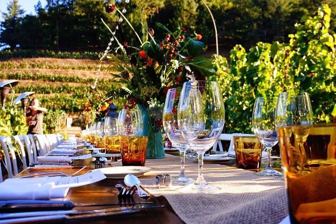 Enjoy a meal with wine tasting in the vineyard of Podere Casanova - Key points at a glance
