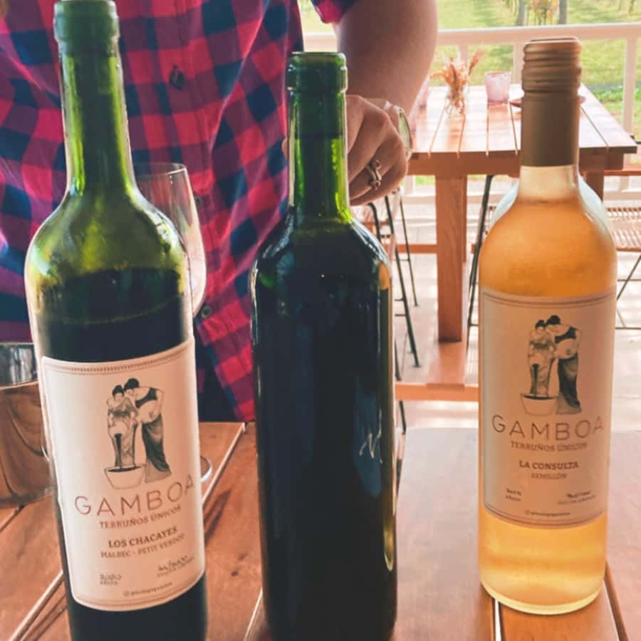 Enjoy a Rural Experience in a Vineyard near Buenos Aires - Key points to know before you book