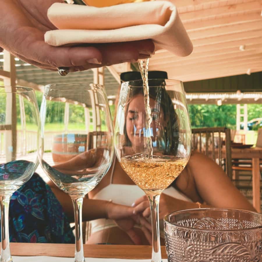 Enjoy a Rural Experience in a Vineyard near Buenos Aires - Booking details and cancellation points